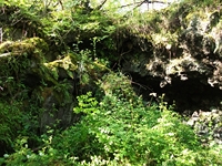 rco Cosentini-20110417 049